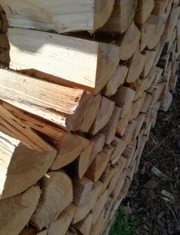 Brennholz SRM 65 € - Wienhausen (Klostergemeinde)