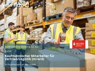 Kaufmännischer Mitarbeiter für Vertrieb/Logistik (m/w/d) - Holzhausen (Haide)