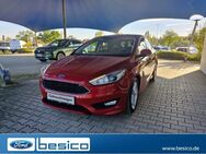 Ford Focus, Titanium, Jahr 2018 - Glauchau