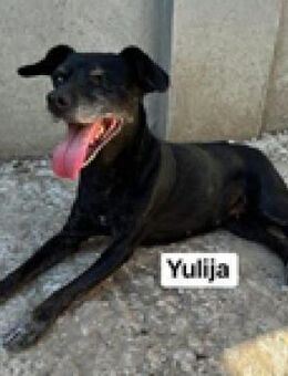Yulija ist der Pechvogel des Monats - Berlin
