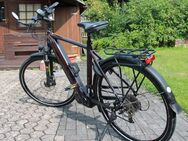 Viktoria E-Bike 12.8 - Rösrath