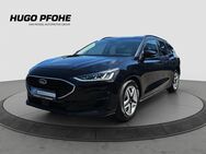 Ford Focus, 1.0 C & C Design EB KA, Jahr 2022 - Bad Segeberg