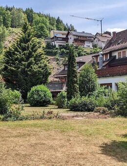 Mehrzweckimmobilie - Bad Rippoldsau-Schapbach