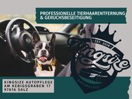 Professionelle Tierhaarentfernung im Auto - sauber & gründlich - Bad Neustadt (Saale) Zentrum