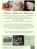 Katzen aus dem Tierschutz suchen ein neues Zuhause in 17268