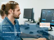 IT-Consultant (m/w/d) - Lüneburg