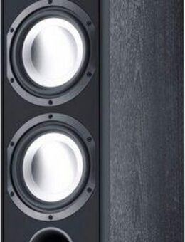 CANTON GLE 490.2 ein Stand-Lautsprecher (320 W, 1 Stück)