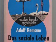A. Remane: Das soziale Leben der Tiere (1960) - Münster