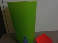 Koziol Design Flaschenkühler, Weinkühler, grün + Koziol Schale Leaf-on, coral, Kunststoff, zus. 3,- - Flensburg