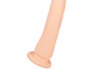 Dildos NEU NEU NEU - Münster