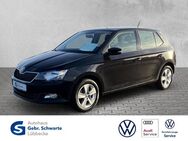 Skoda Fabia, 1.0 TSI Ambition, Jahr 2018 - Lübbecke