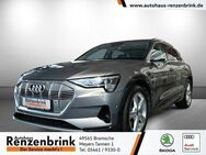 Audi e-tron 50 quattro advanced HEAD-UP*360°*AHK*MATR - Bramsche