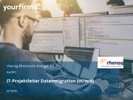 IT-Projektleiter Datenmigration (m/w/d) - Köln