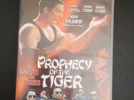 VHS - Prophecy of the Tiger - FSK18 - Essen