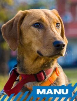 Manu - sanfter Schönling - Berlin