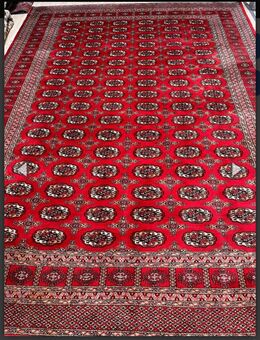 Buchara Teppich aus,Pakistan - Rheda-Wiedenbrück
