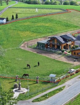 Modernes Holzblockhaus mit Offenstall in schöner Aussichtslage - Kürten