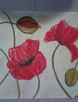 Bild Mohnblüten Pastellkreide 41,5 x 41,5 - Naumburg (Saale)