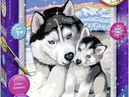 Ravensburger Malen nach Zahlen Husky Kuss, Made in Europe
