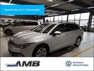 VW Golf Variant, 1.5 TSI Life, Jahr 2024 - Borna