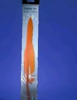 Kugelschreiber An Einer Langen Orangen Feder - Neumünster