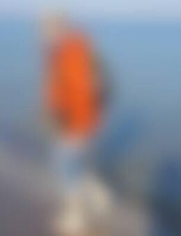 edd*** - Schwarzheide