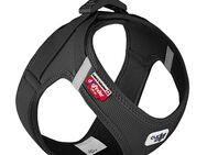 Curli Vest Geschirr Clasp Air-Mesh, schwarz - Größe S: Brustumfang 38,3 - 43,3 cm