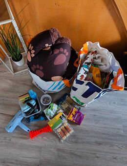 Jede Menge Hundezubehör - Pattensen