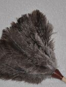 Straußenfedern Staubwedel VM 5050 mit Naturfedern und Holzstiel in 63739