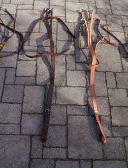 4 x gutes Martingal in Warmblut und Pony z.B. Döbert ua. - Bad Lausick