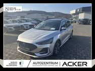 Ford Focus, 1.0 MHEV ST-Line X, Jahr 2024 - Bad Berleburg