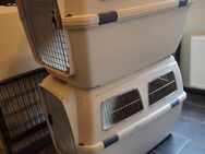 Hundeboxen für den Transport - Sinn