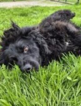 Max mit Herz - Ellerbek