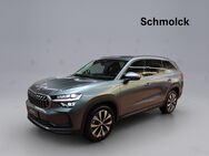 Skoda Kodiaq, 2.0 TDI Selection 150PS, Jahr 2024 - Emmendingen