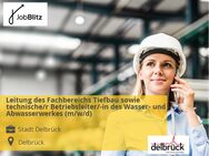 Leitung des Fachbereichs Tiefbau sowie technische/r Betriebsleiter/-in des Wasser- und Abwasserwerkes (m/w/d) - Delbrück