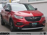 Opel Grandland X, Design Line, Jahr 2020 - Hachenburg