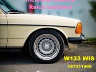 Mercedes W123 123 E-Klasse WIS - Werkstatt Reparatur Service CD Werkstatthandbuch - Bad Heilbrunn