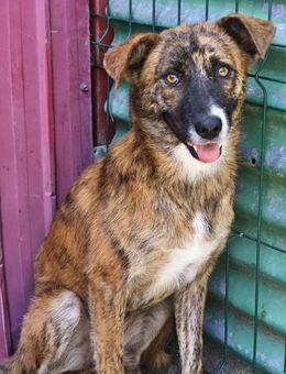 Chelsea will in ein tolles Leben starten - Beltheim