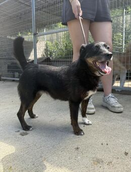 Trixie - Die kleine Kämpferin - Köln