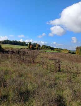 landwirtschaftliche Wiese - Werneck