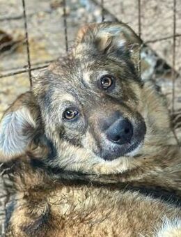 JESSIKA ~ zeigte ihr süßes Bäuchlein - Duisburg