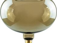 SEGULA LED-Filament LED Floating Oval 200, E27, 1 St., Warmweiß