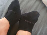 sexy socken und füße CALVIN KLEIN - Berlin Marzahn-Hellersdorf