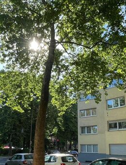 Vis a Vis des Rathenauplatzes! - Köln
