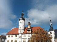 *Erstbezug nach Sanierung* helle 2-Raum Wohnung mit Deckenheizung - Eisenberg (Thüringen)