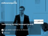 Teamleitung Verkauf Neuwagen (m/w/d) - Münster