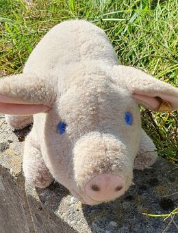STEIFF Plüsch Schwein - Köln