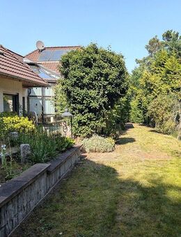 Ein Zuhause für die ganze Familie - Familienglück und Natur am Tor zur Dübener Heide - Kemberg