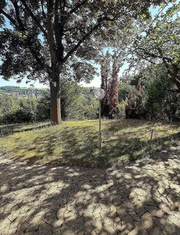 Großzügige Einliegerwohnung mit Ausblick auf das Maintal und eigenem Garten - Ochsenfurt