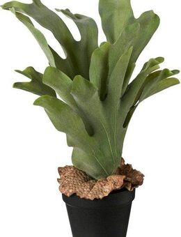 Künstliche Zimmerpflanze, Creativ green, Höhe 37 cm